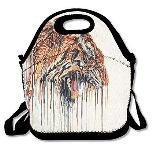 Best Insulated Lunch Sack out of top 15 in 2020